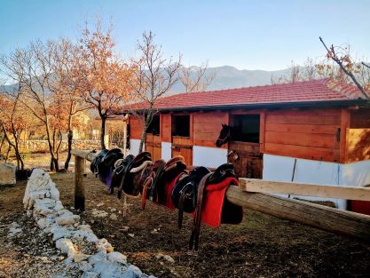 Horse riding tour Dalmatian hinterland