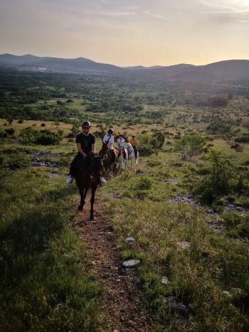 Horse riding tour Dalmatian hinterland