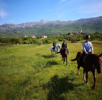 Horse riding tour Dalmatian hinterland